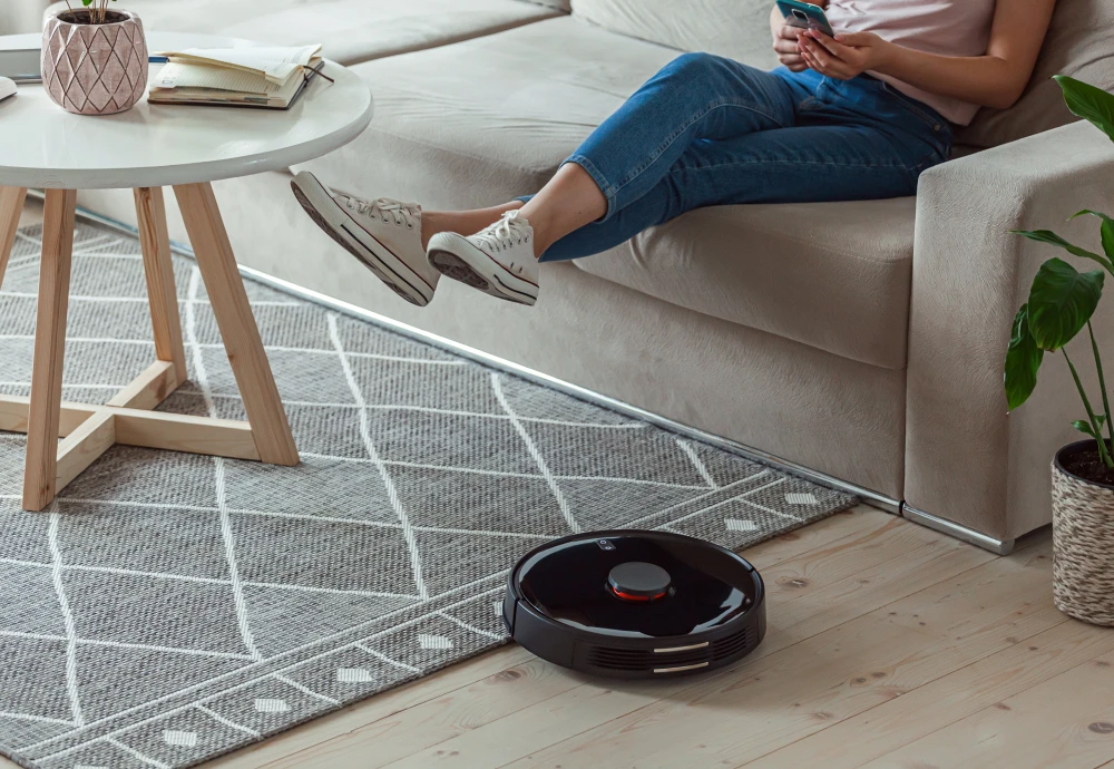 carpet robot vacuum cleaner